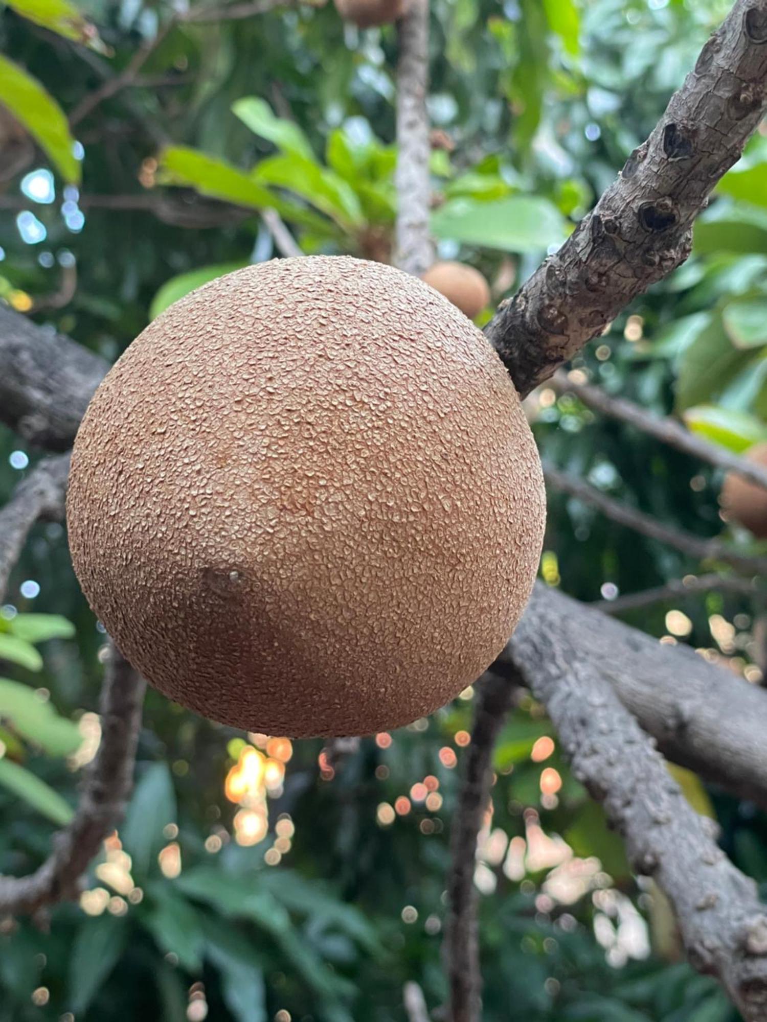 Casa Mamei 巴耶格兰雷伊 外观 照片